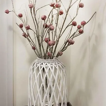 アパート Panorama 19 スピンドレルフ・ムリン