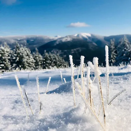 Lejlighed Panorama 19 *