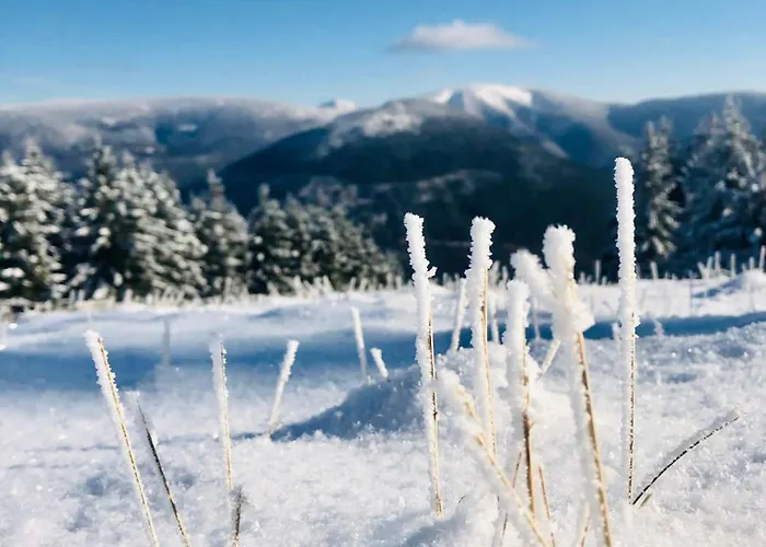 Lägenhet Panorama 19 *